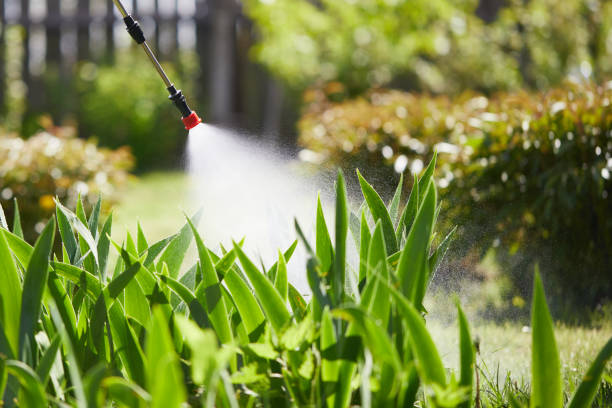 Tamper-Resistant Bait Stations for Rodents in Shullsburg