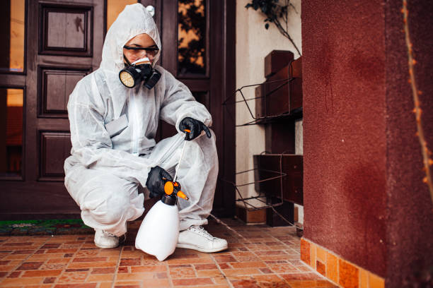Attic and Crawl Space Rodent Treatment in Shullsburg