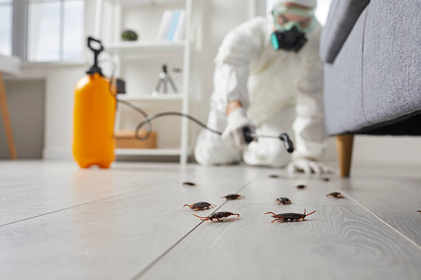 Commercial Rodent Management in Shullsburg